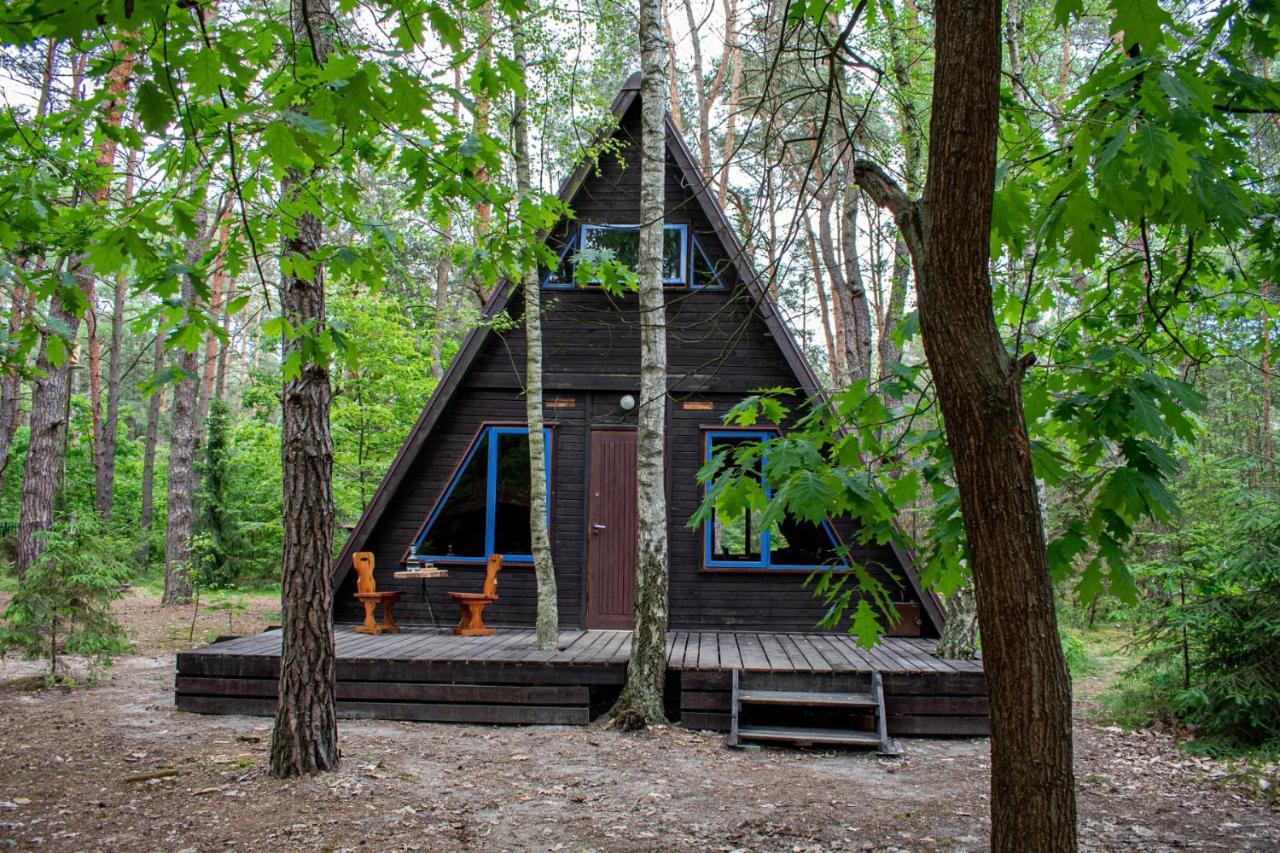 Domki W Wildze Skurcza Exterior photo