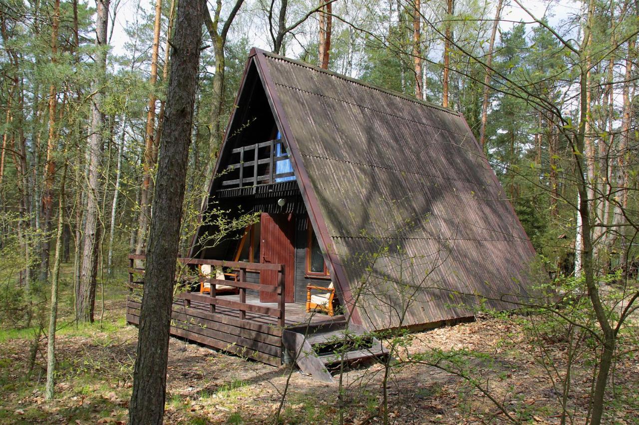 Domki W Wildze Skurcza Exterior photo